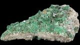 Large, Fluorite & Galena Plate - Rogerley Mine (Clearance Price) #32398-2